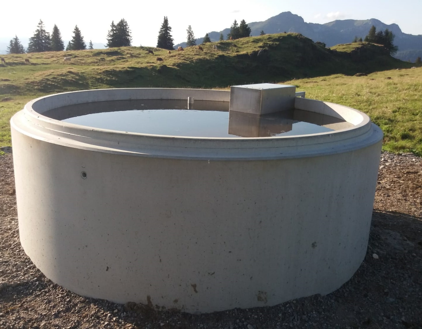  Brunnen Alp Selamatt