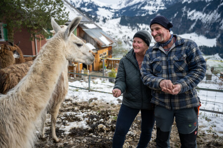 Fränzi und Sepp Niederberger halten auf der Bielen ob Wolfenschiessen Lamas, Alpakas und Schafe