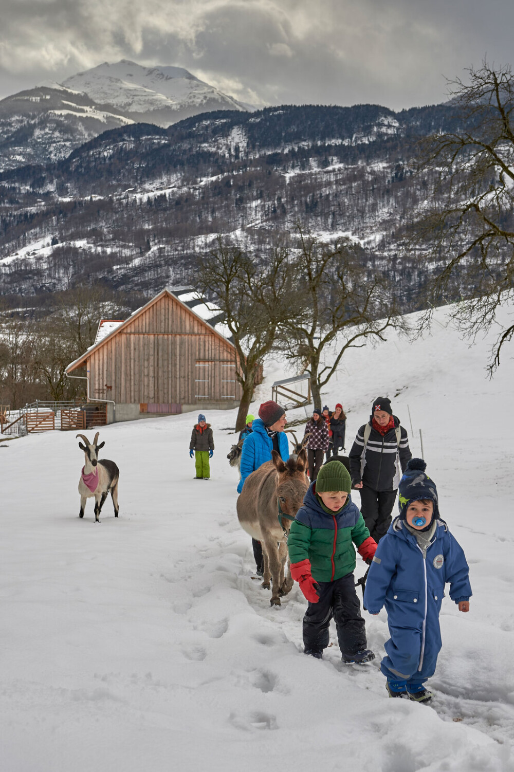 Trekking mit Geissen und Esel für Kinder in Rorschacherberg.