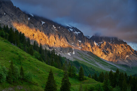 Abendstimmung auf der Alp